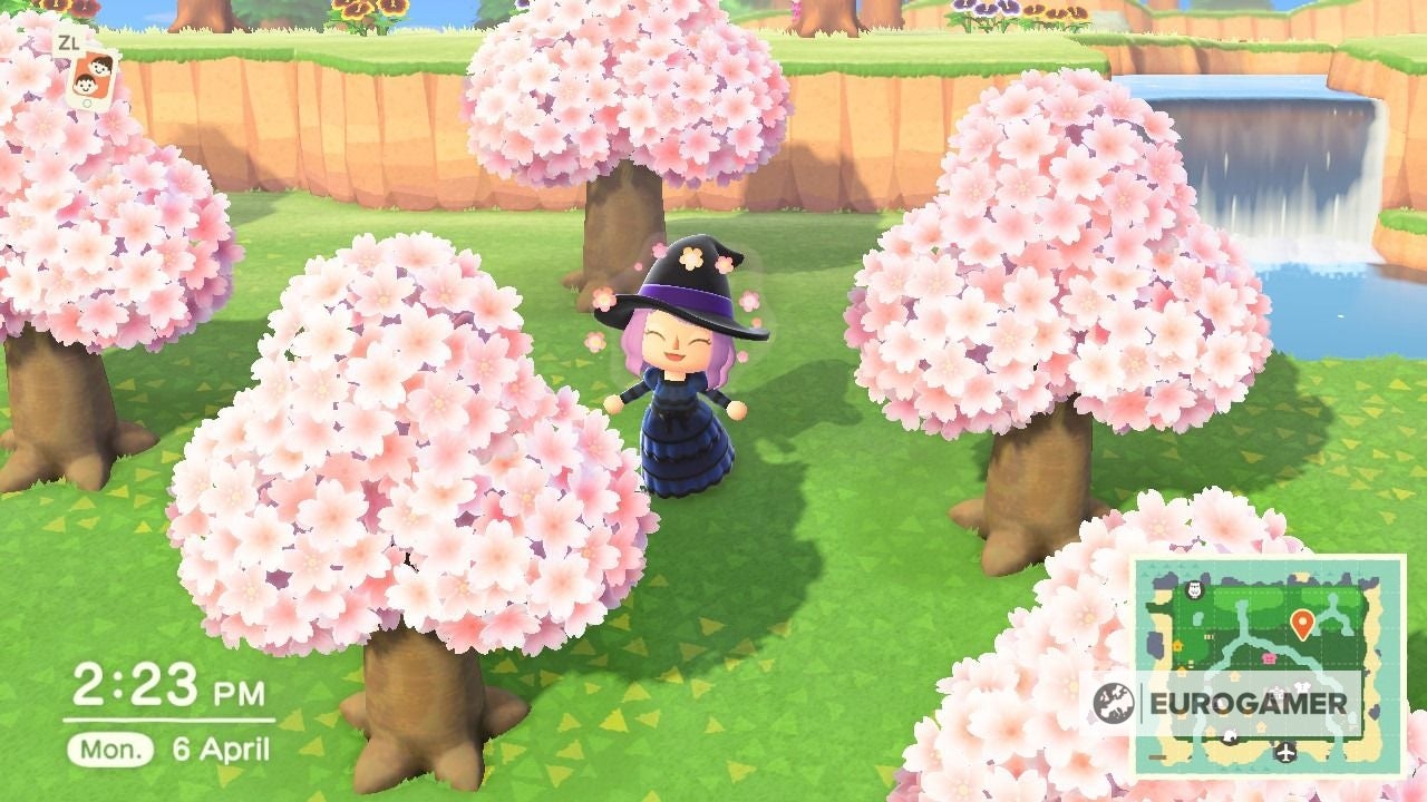 Animal Crossing Cherry blossoms How to find cherry blossom furniture